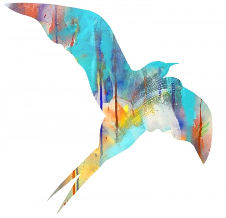 bird 1-vivid